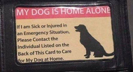 ID for your Pets